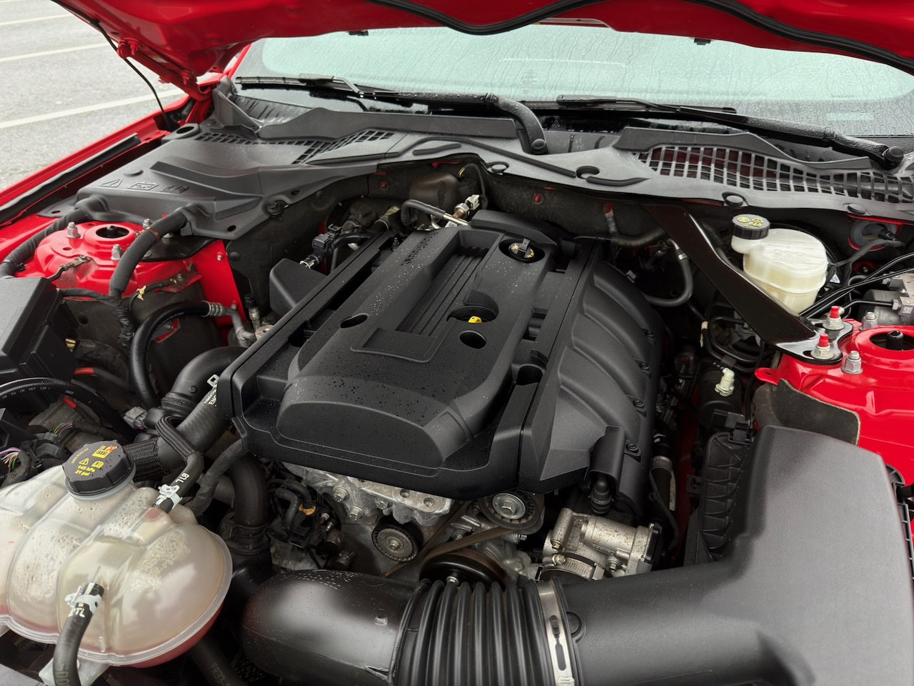 
								Ford Mustang Ecoboost full									